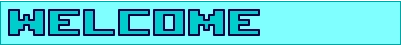 WELCOME